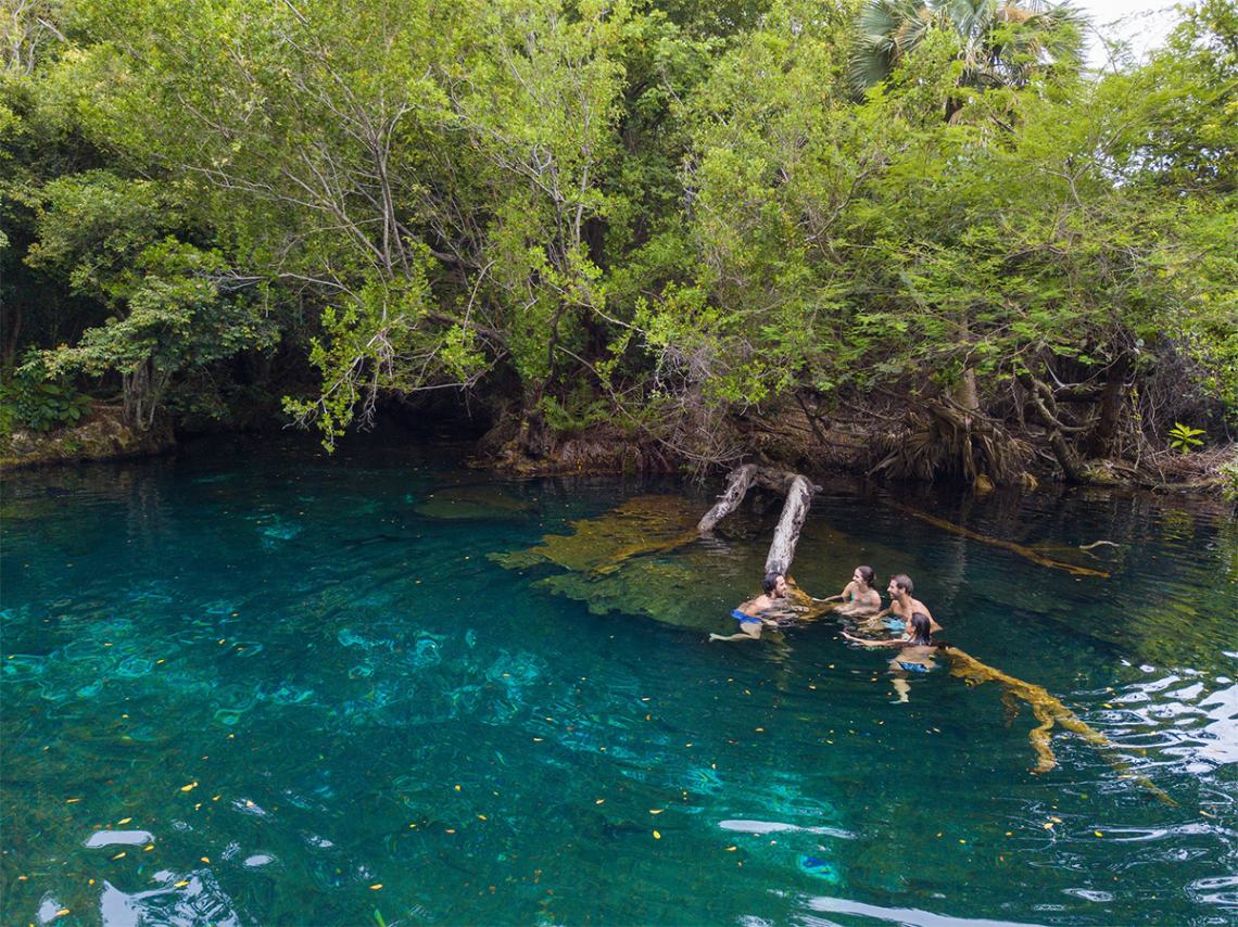 Indigenous Eyes Ecological Park & Reserve