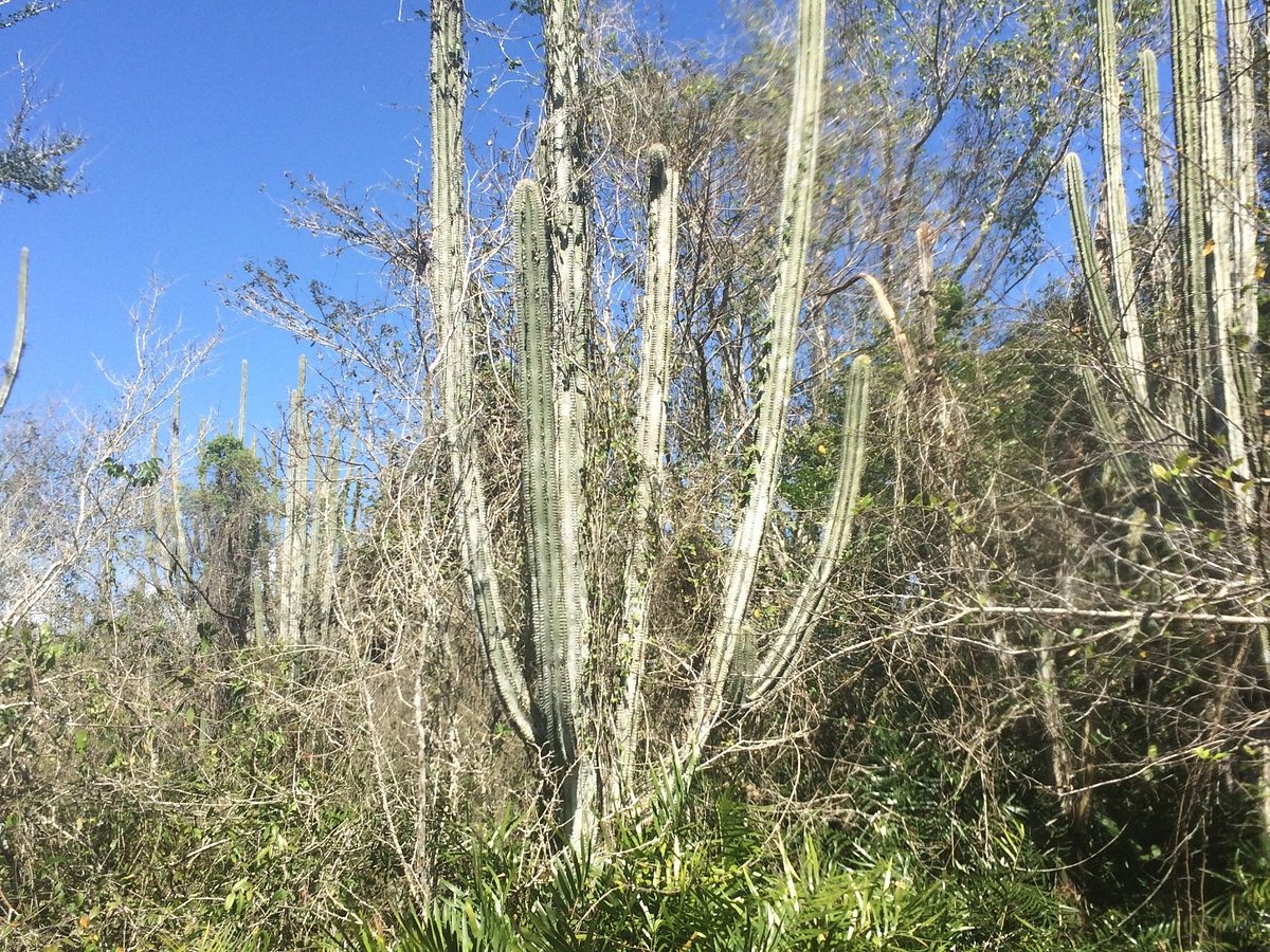 Padre Nuestro Ecological and Archeological Trail
