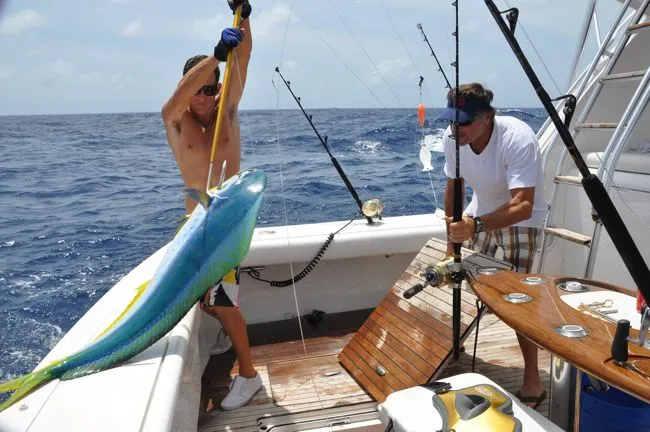 Deep Sea Fishing