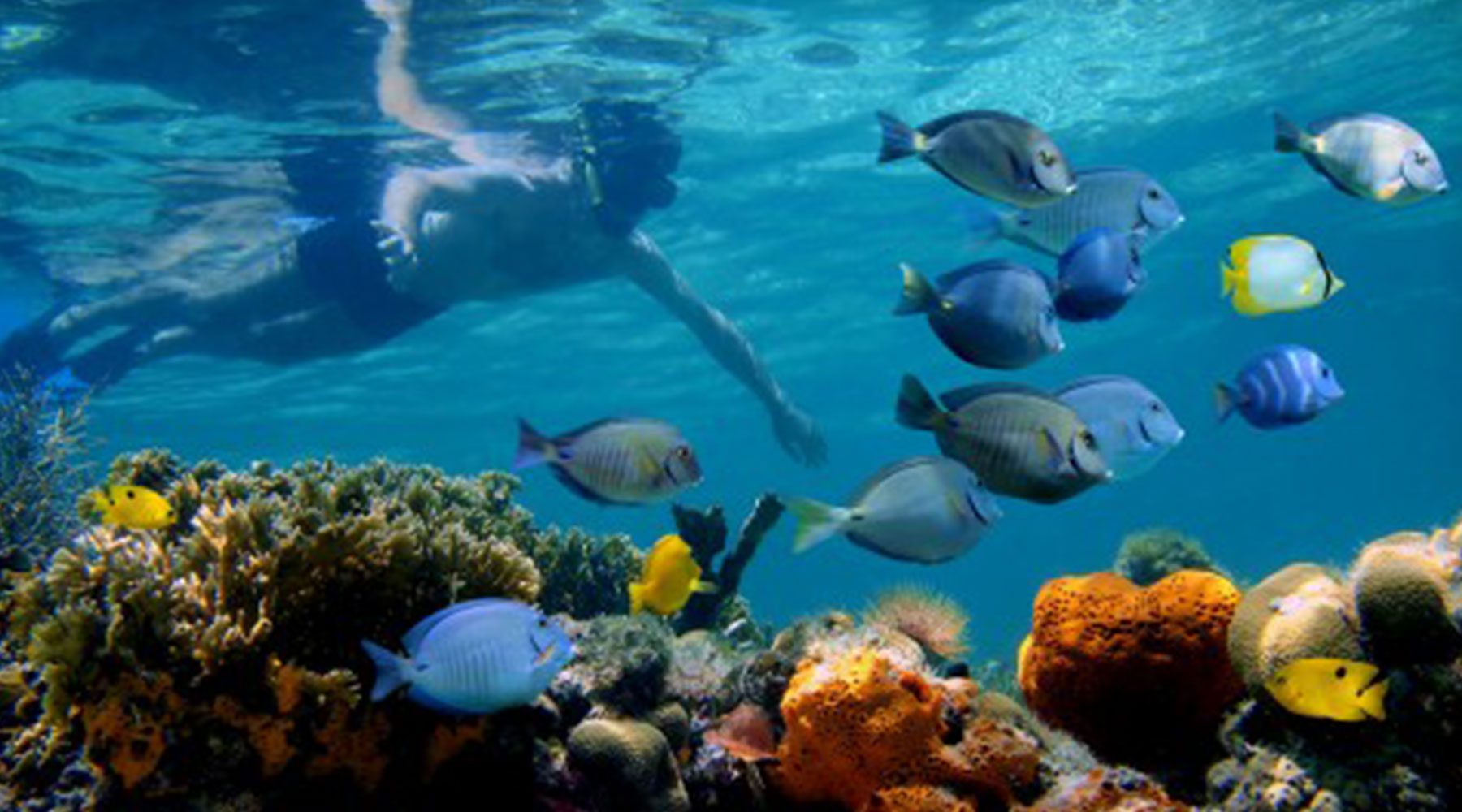 Underwater Museums