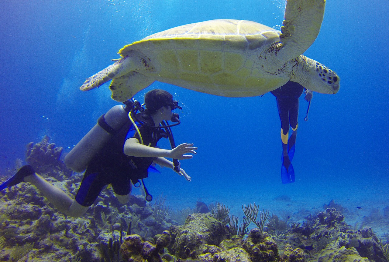 Diving