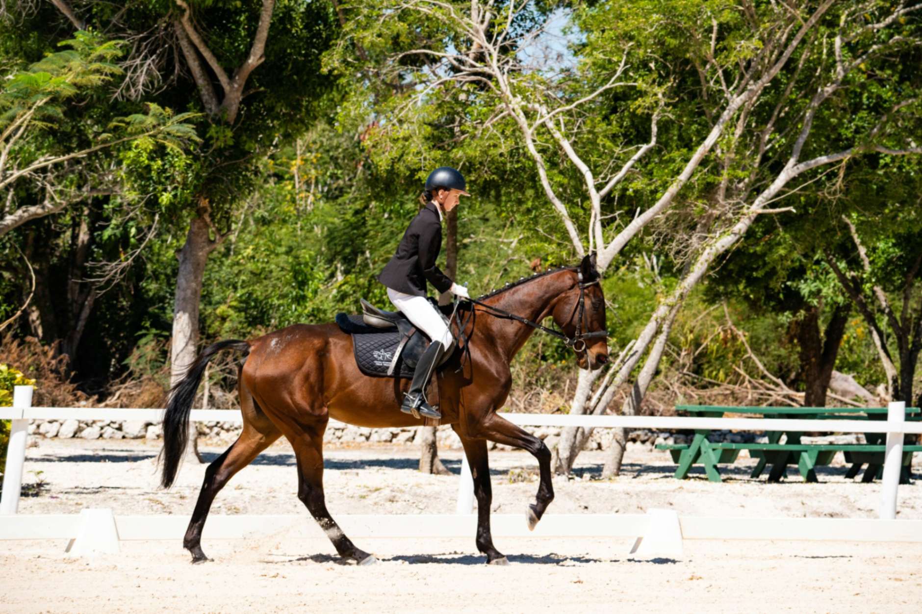 Equestrian Center Los Establos