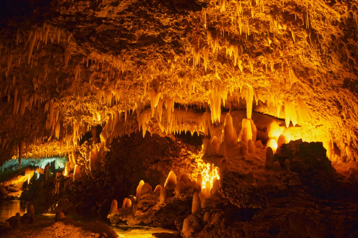 Harrison's Cave