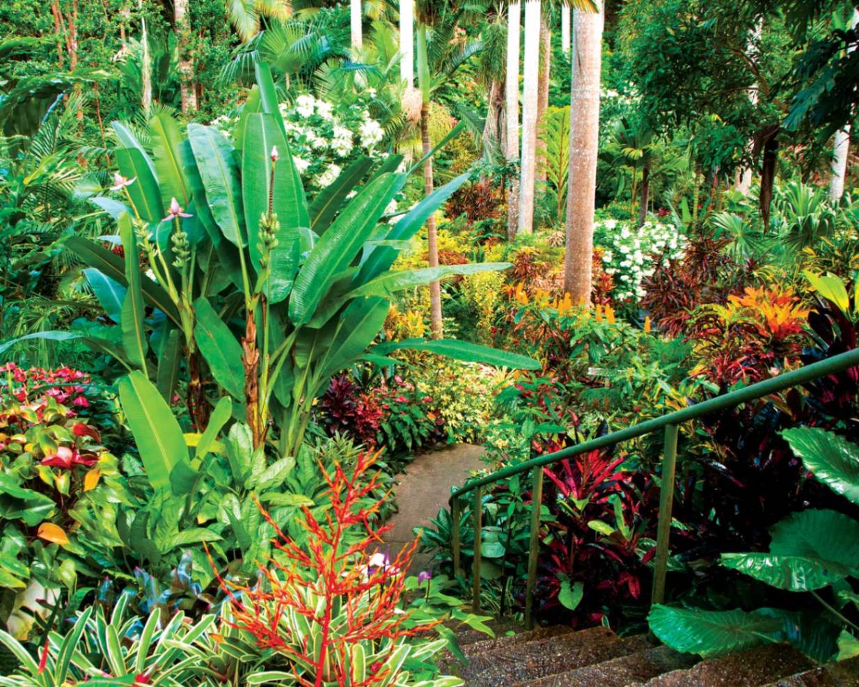 Hunte's Gardens