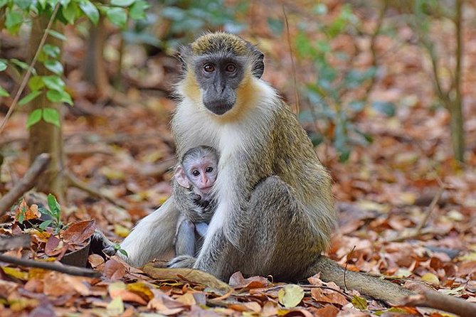 Wildlife Reserve